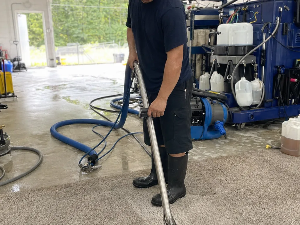 Upholstery & sofa clean
