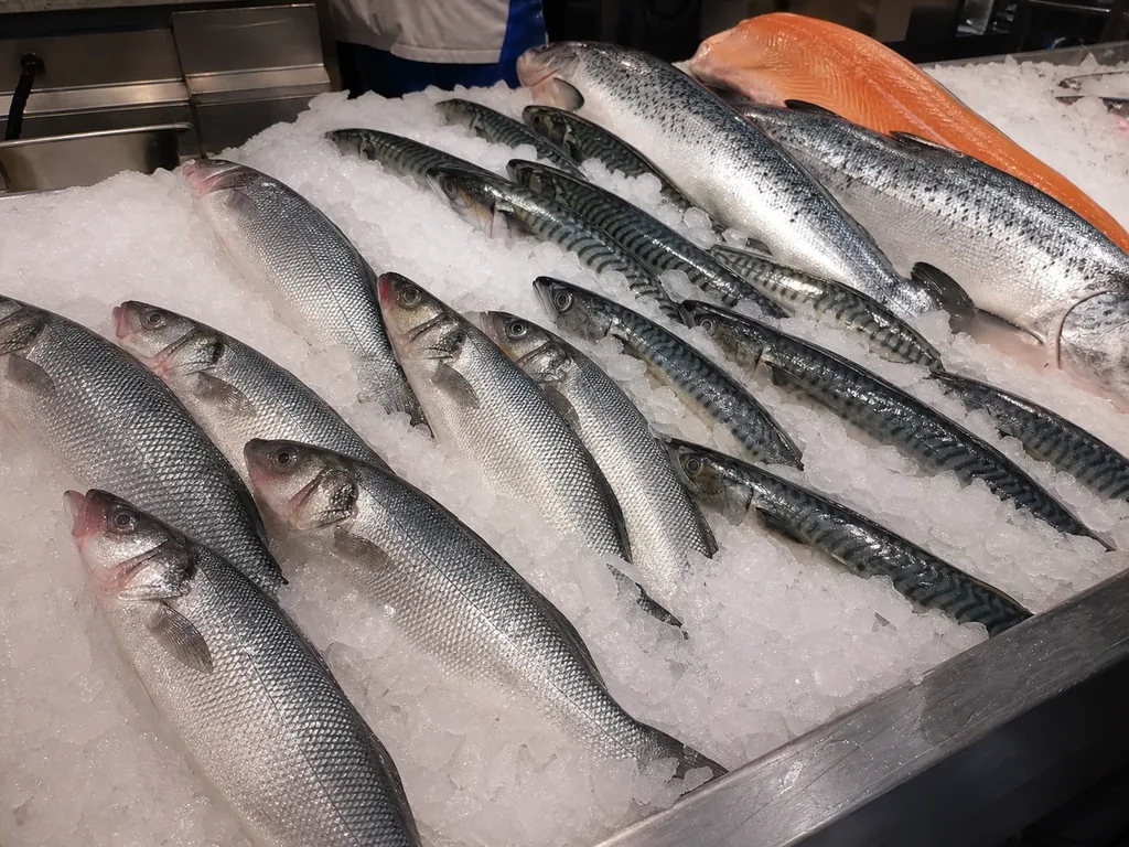 Fishmonger Studio