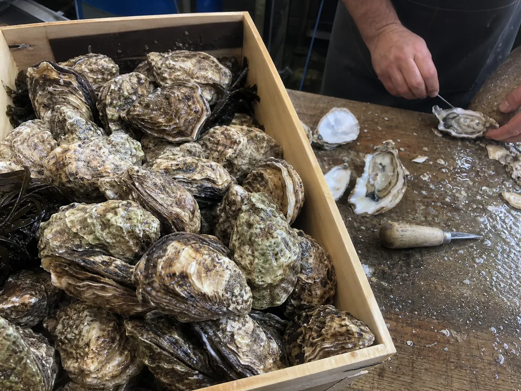 Shellfish & crustaceans