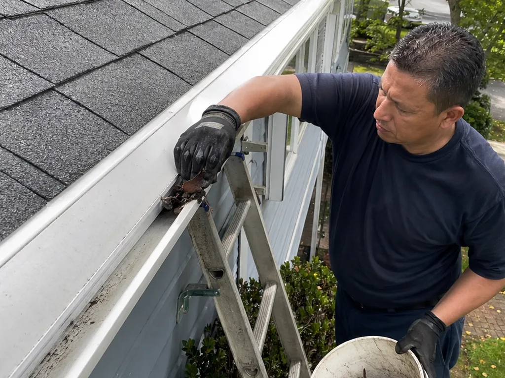 Annual Maintenance Plan