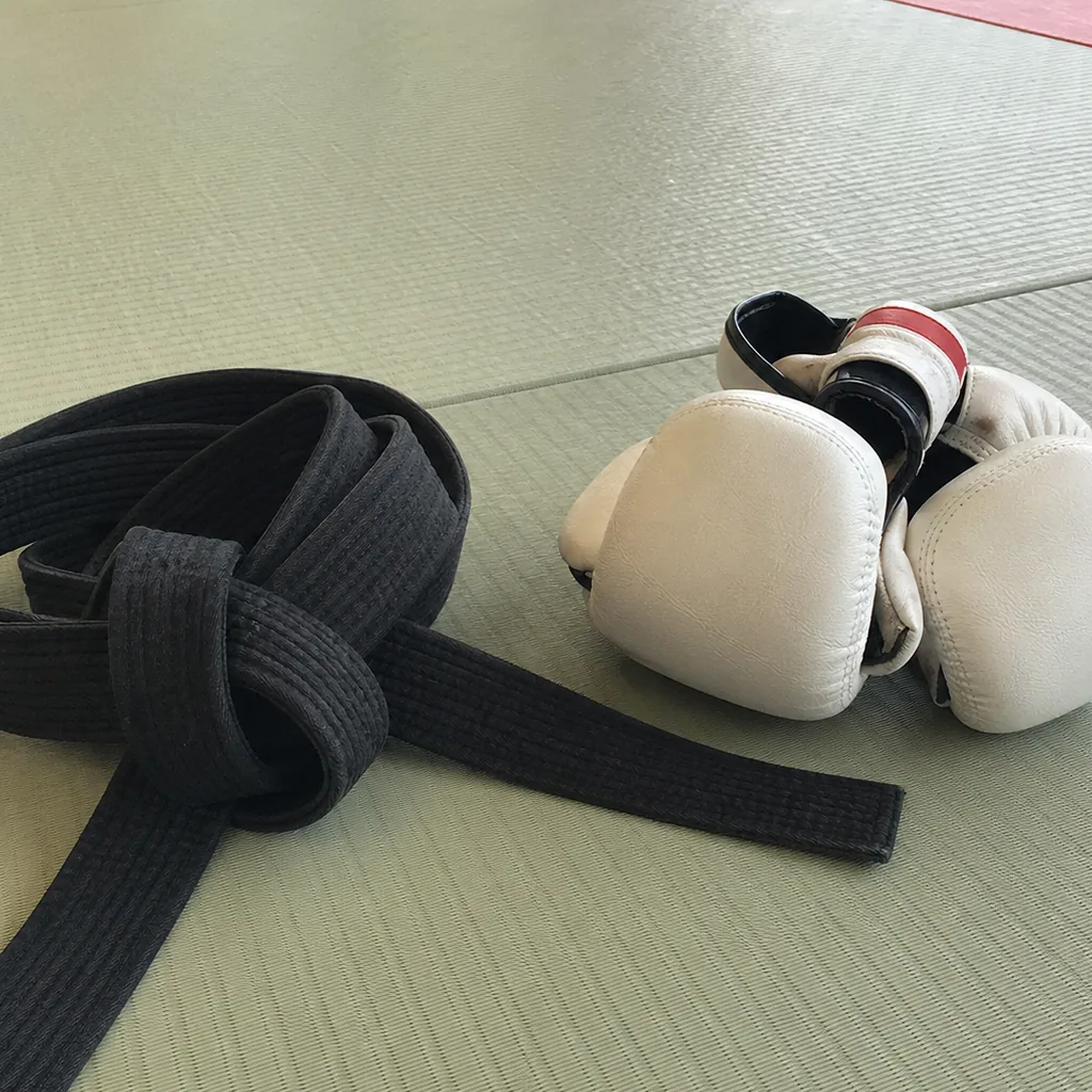 Karate Club — Karate Club (vue 1)