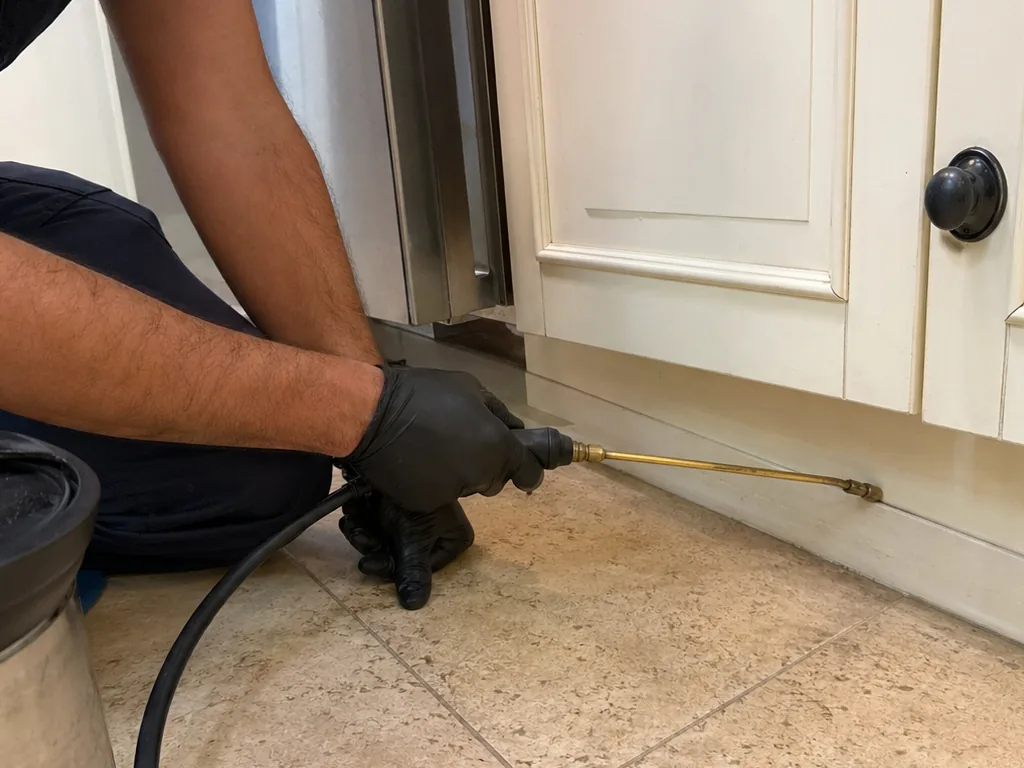 Cockroach Treatment