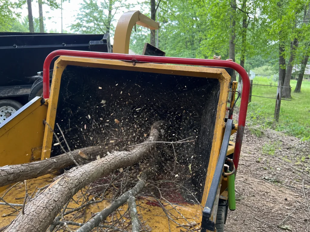 Tree felling