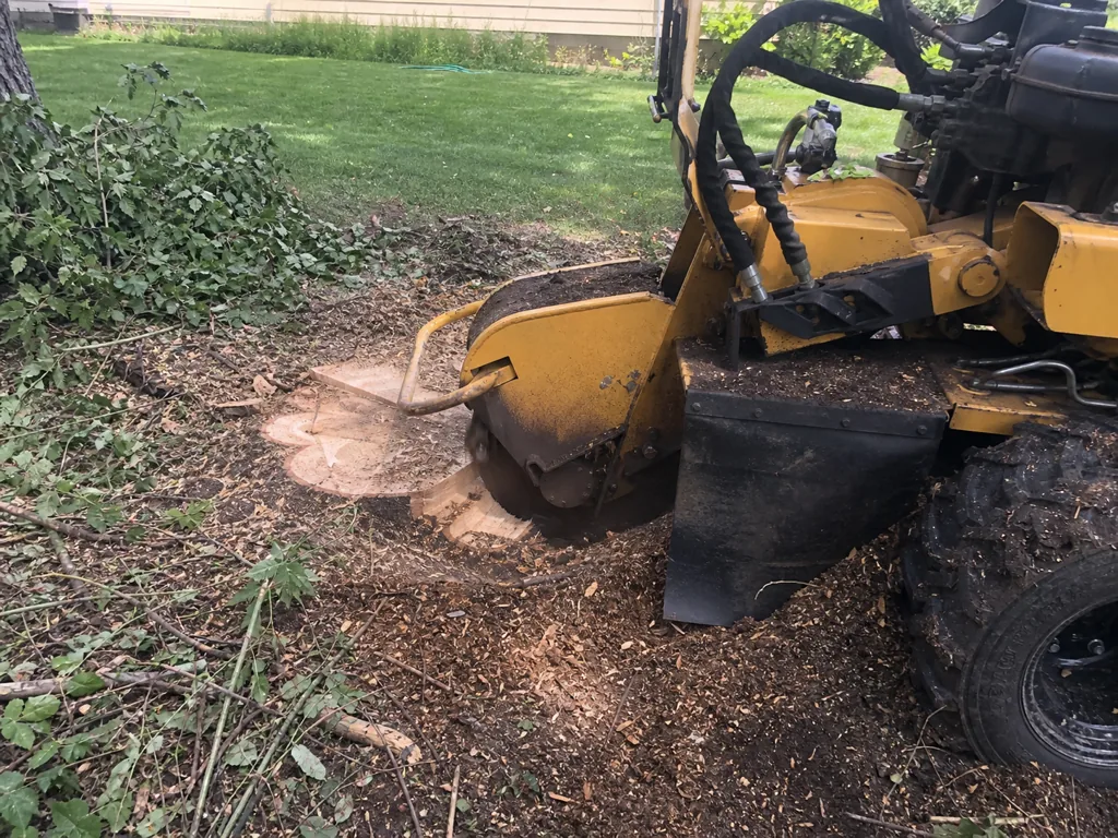 Hedge cutting